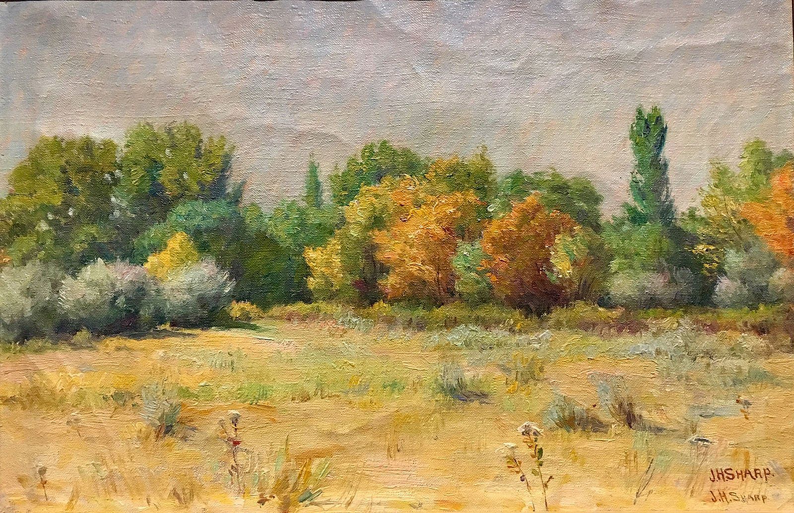 Campground Scene
